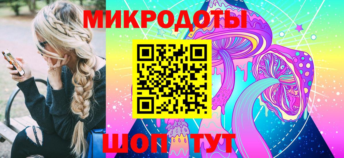 Галлюциногенные грибы Psilocybe Чапаевск