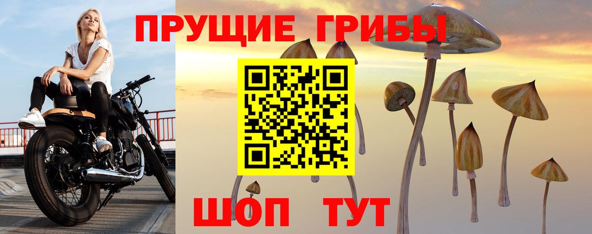 Псилоцибиновые грибы Magic Shrooms  Псилоцибиновые грибы ЛСД  Вход с VPN  Чапаевск 